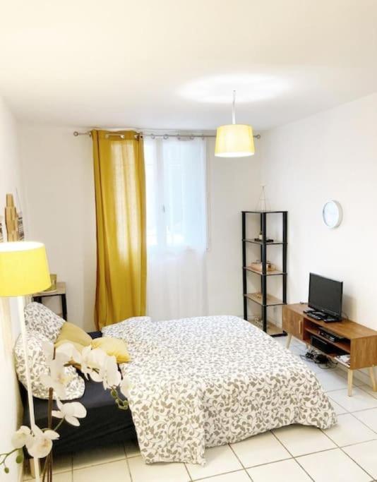 Studio A 5 Mn A Pied De La Gare Saint-Roch 蒙彼利埃 外观 照片
